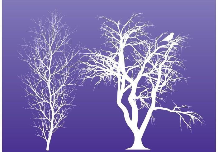 Стилизованные зимние деревья