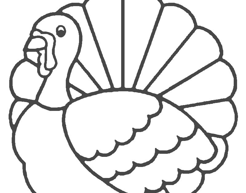 Индюк раскраска для детей цветная