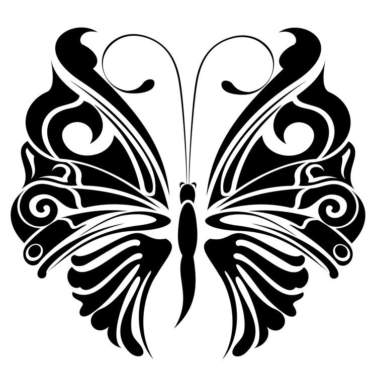 Узоры бабочки