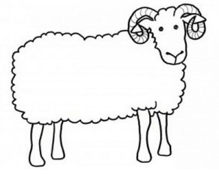 Барашек раскраска