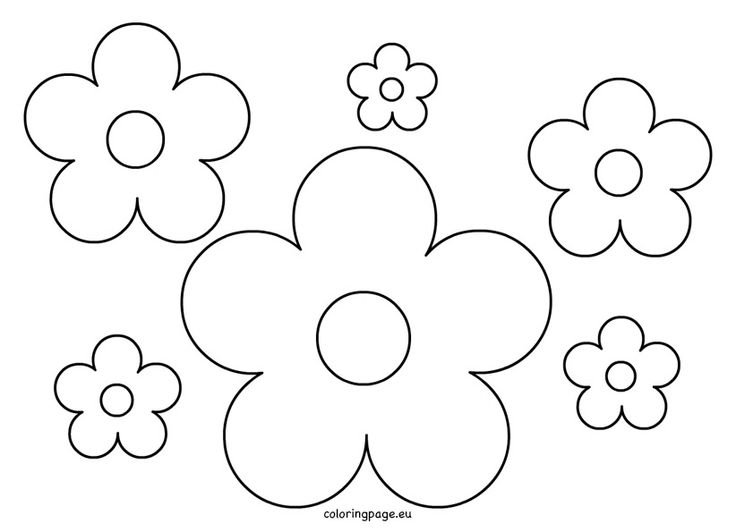 Цветы шаблон для аппликации