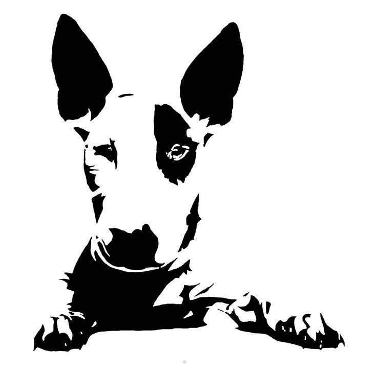 Бультерьер вектор чб