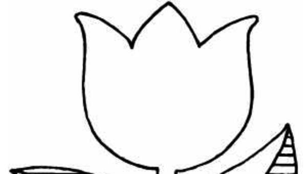 Бутон тюльпана трафарет