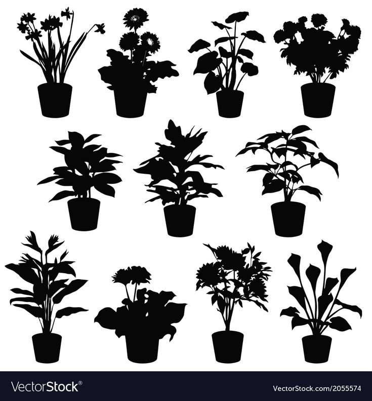 Горшок с цветами силуэт