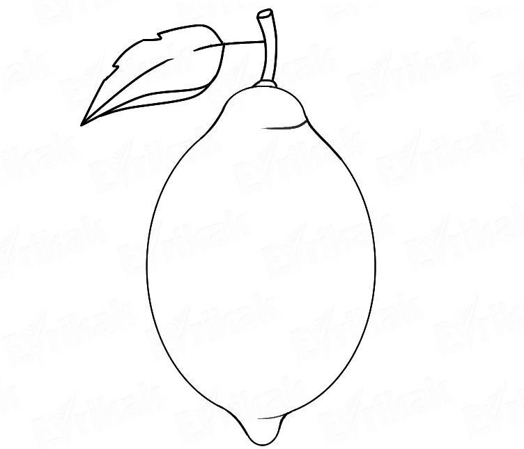Лимон раскраска