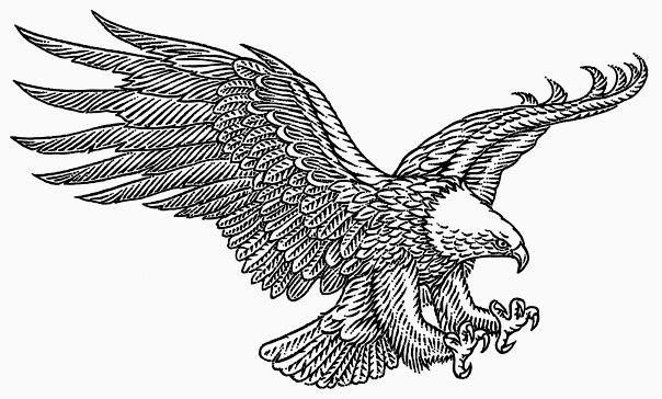 Орел рисунок