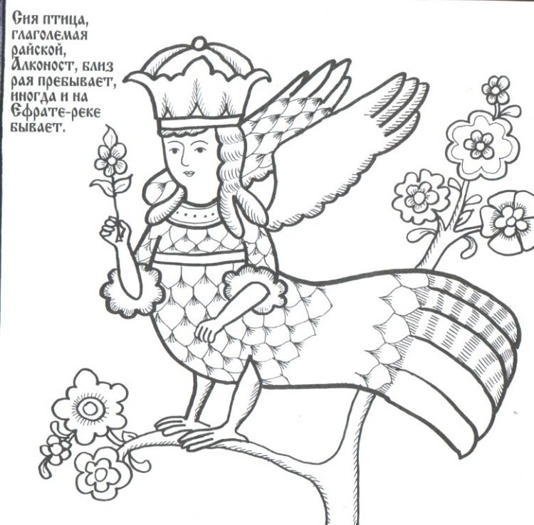 Птица Сирин рисунок