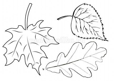 Листья шаблоны для вырезания