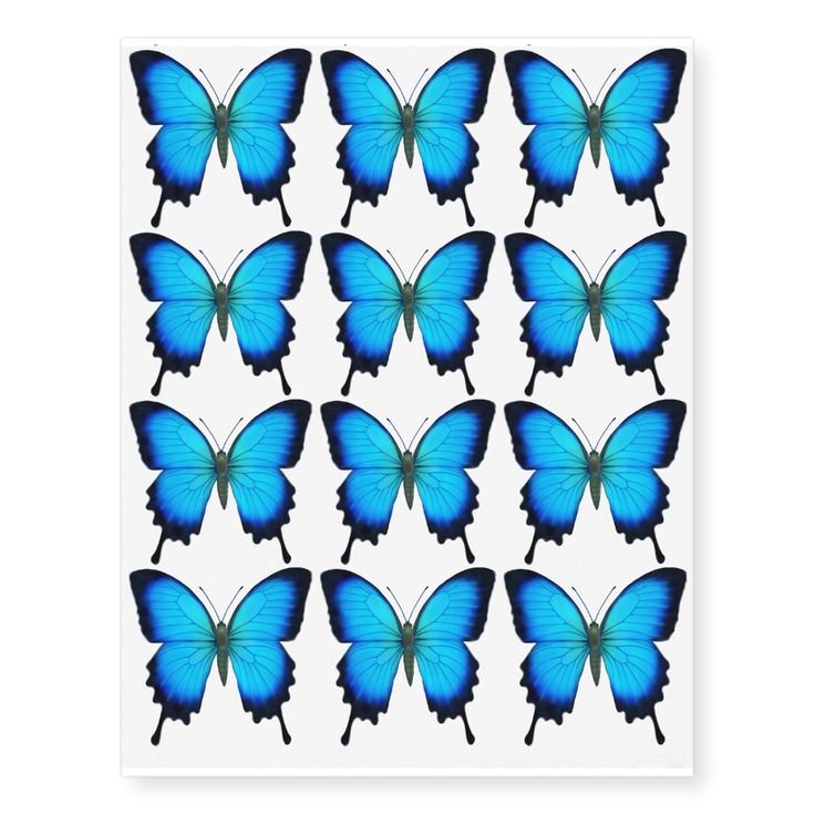 Голубая бабочка