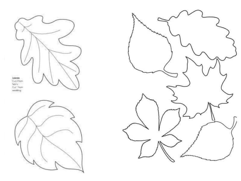 Трафарет осенних листьев