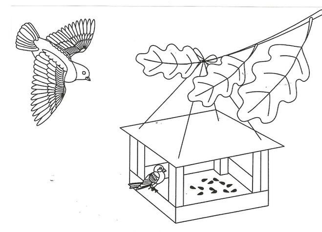 Кормушка (вложение: раскраска) » Сладкая Зима
