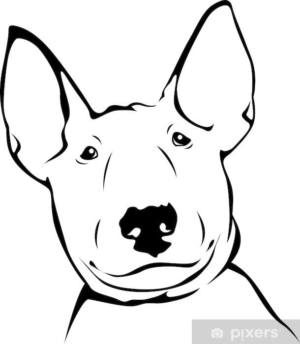 Бультерьер силуэт