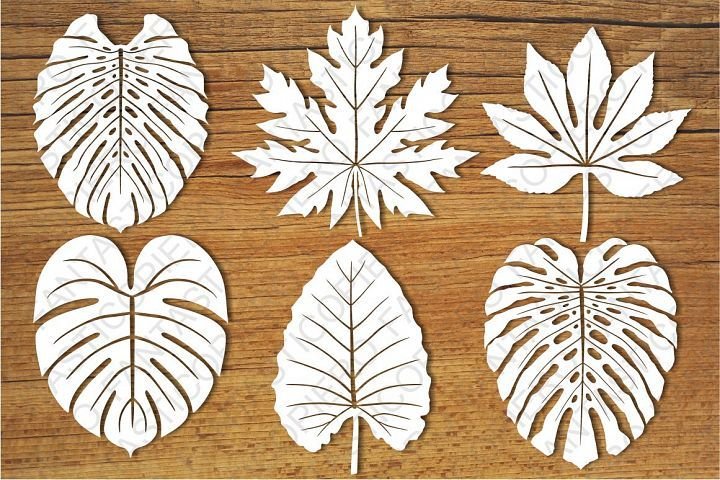 Трафареты экзотических листьев