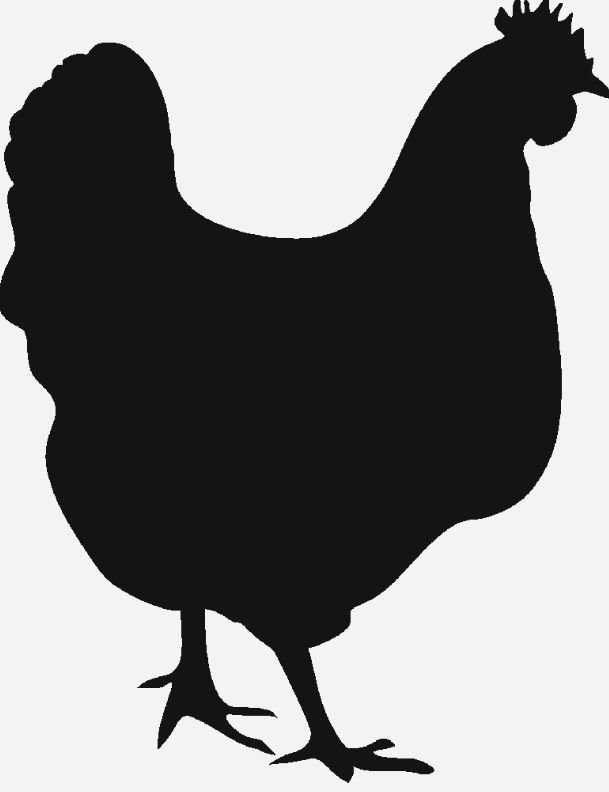 Курица сбоку вектор