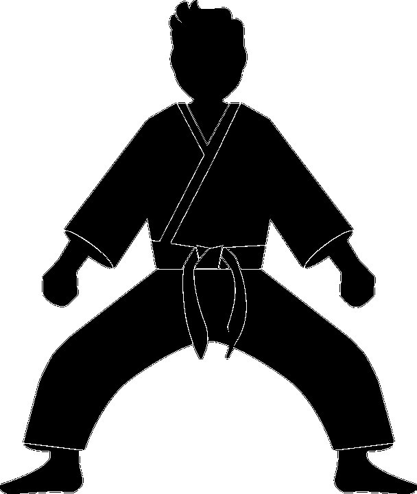 Дзюдо силуэт