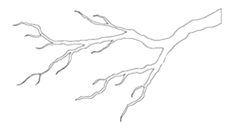 Ветка трафарет для вырезания