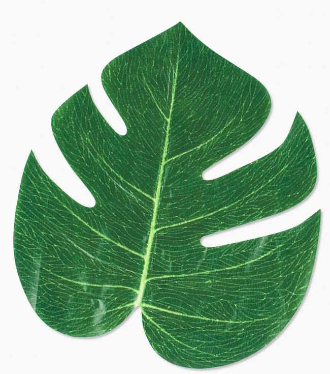 Экзотические листья