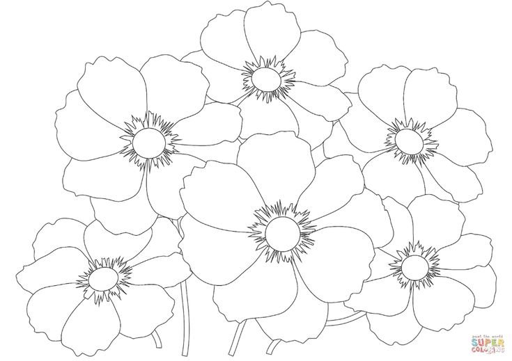 Цветы для разукрашивания