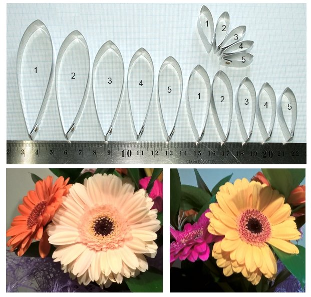 Шаблон герберы из фоамирана