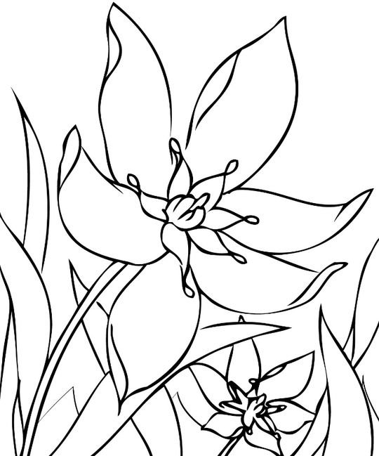 Цветы трафарет для рисования