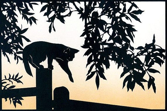 Силуэт кошки на заборе