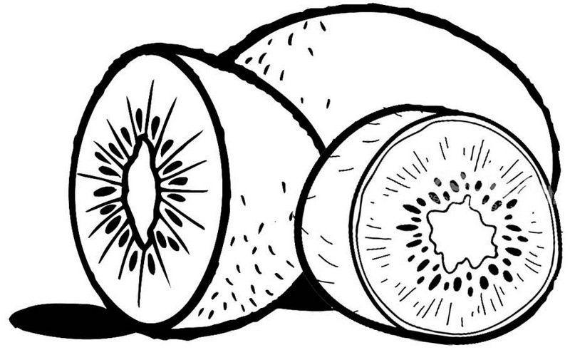 Киви для детей черно белая