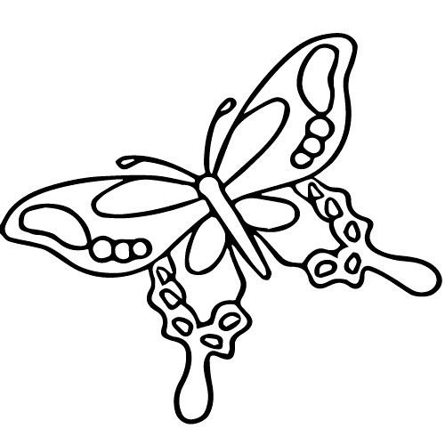 Рисунок бабочки для раскрашивания