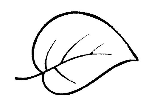 Трафарет листьев яблони