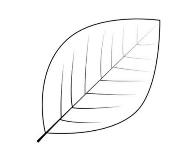 Листочки раскраска