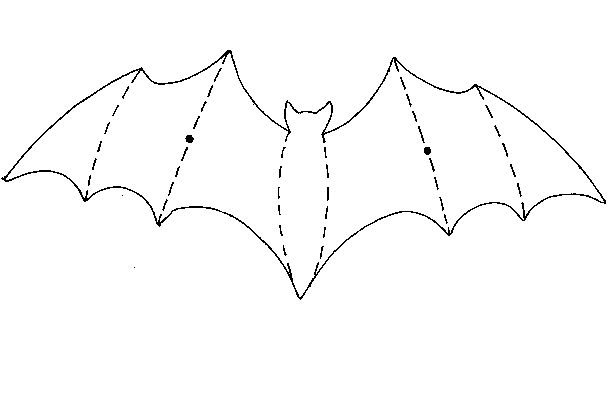 Выкройка крыльев летучей мыши
