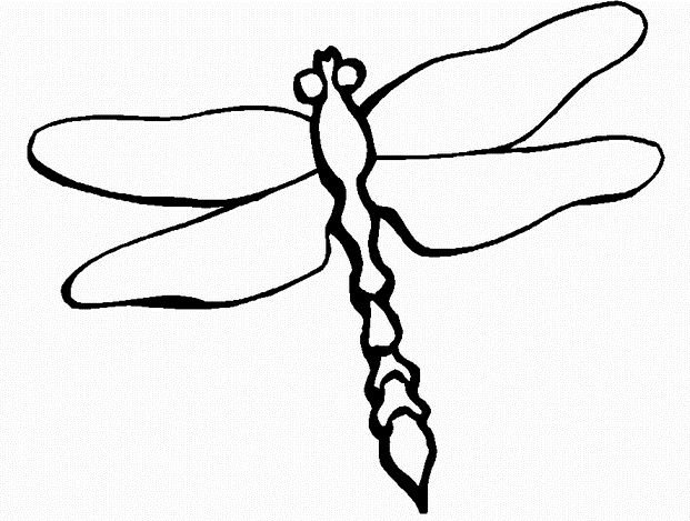 Стрекоза раскраска