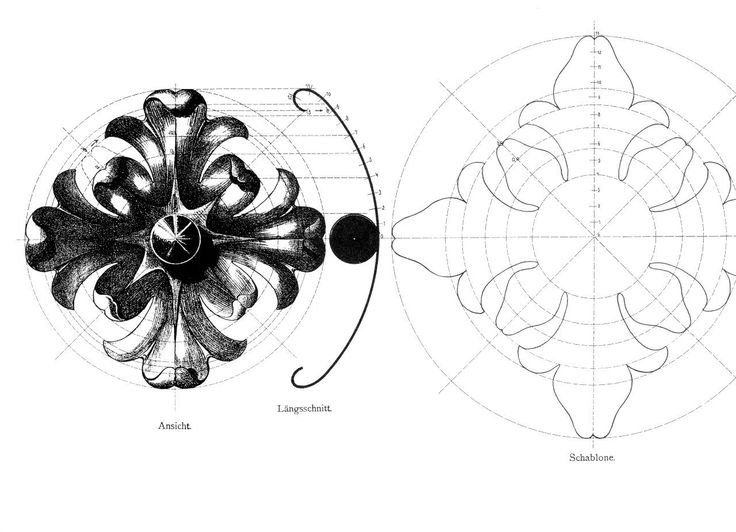 Акантовый лист чертеж