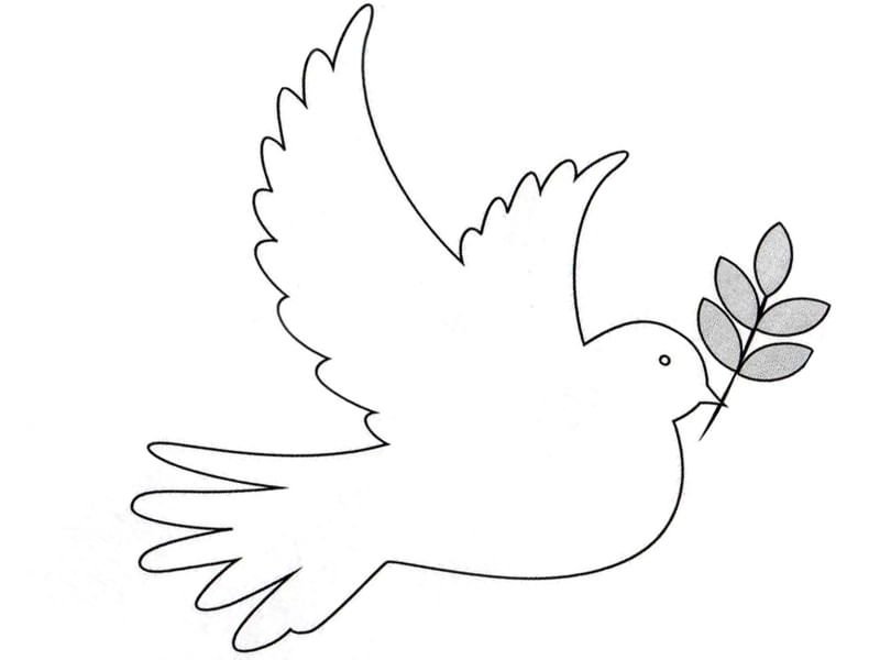 Голубь мира шаблон