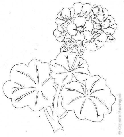 Нарисовать герань