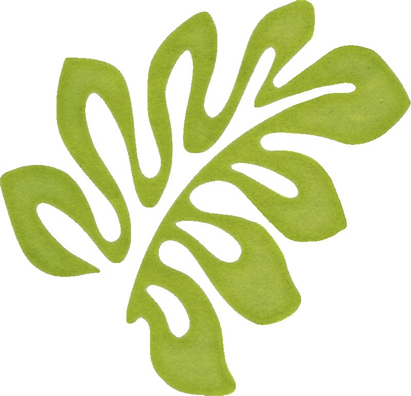 Тропические листья трафарет