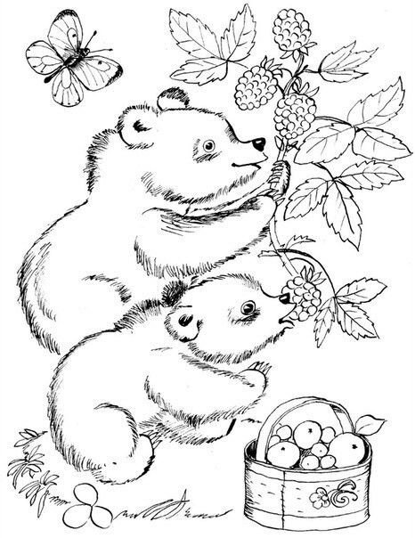 Раскраска. Медвежонок