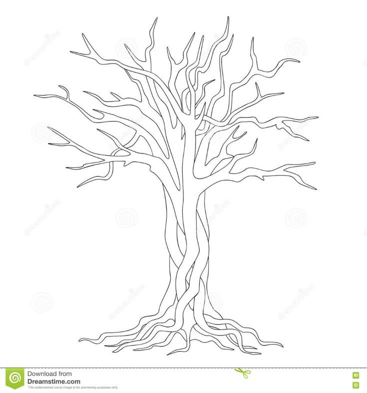 Дерево с корнями контур