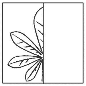 Дорисуй вторую половину