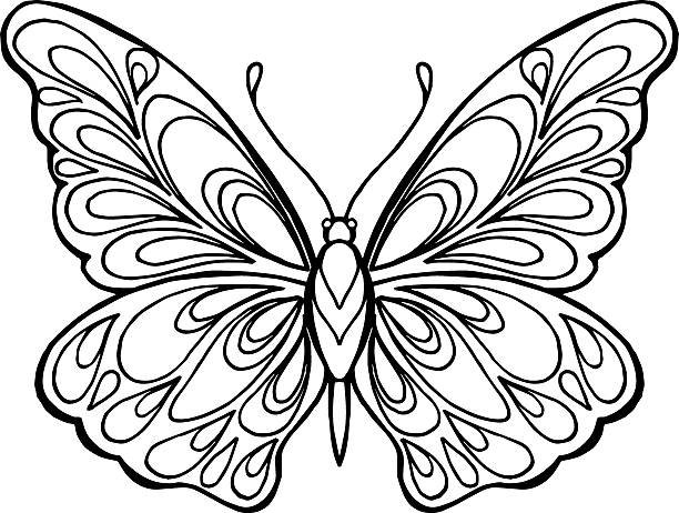 Шаблон бабочка для квиллинга