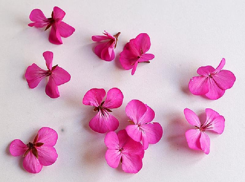 Герань из фоамирана