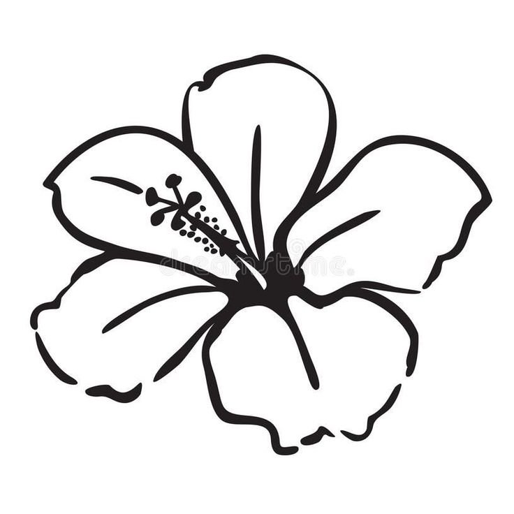 Цветочки контуры для вырезания