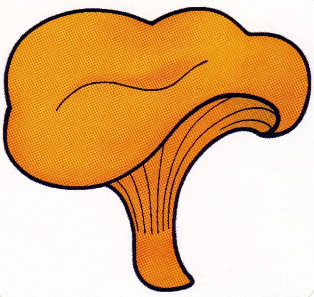 Гриб Лисичка рисунок для детей