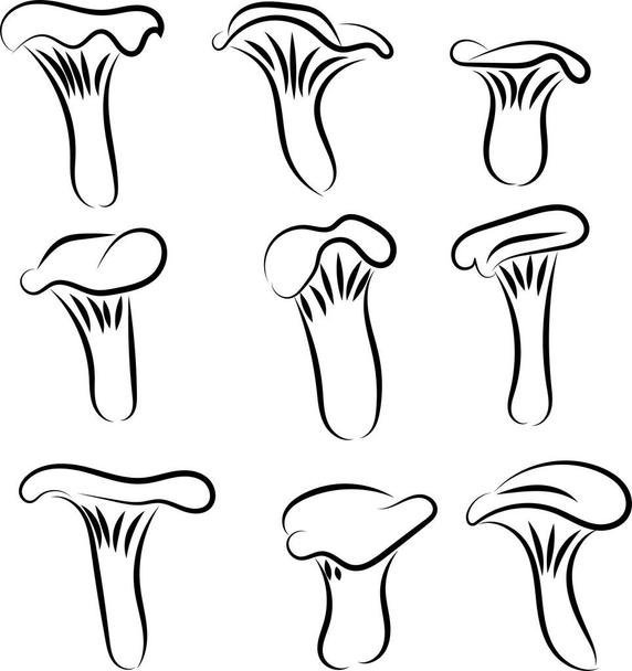 Гриб Лисичка раскраска