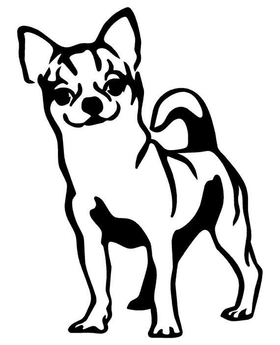 Собака контур