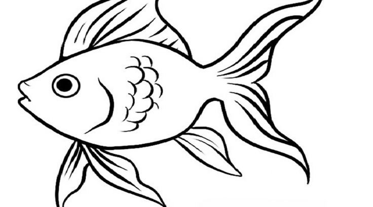 Рыбка контур