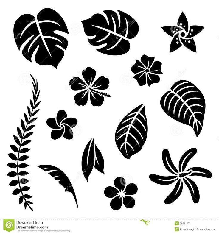 Силуэт тропического растения с листьями