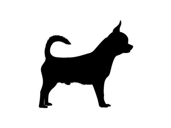 Очертание собаки