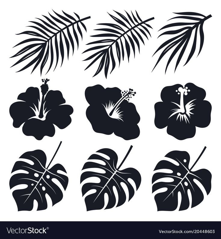 Тропические растения трафарет