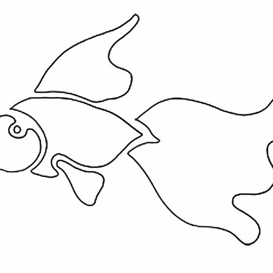 рыбы и птицы