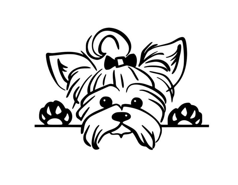 Раскраска Йоркширский терьер щенок